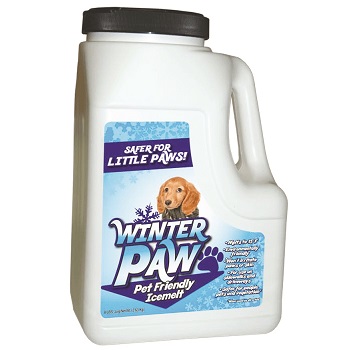 WINTER PAW JUG