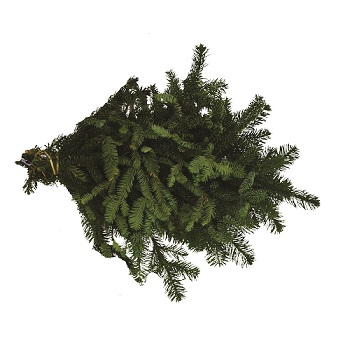 NOBLE FIR 2LB BOUGH