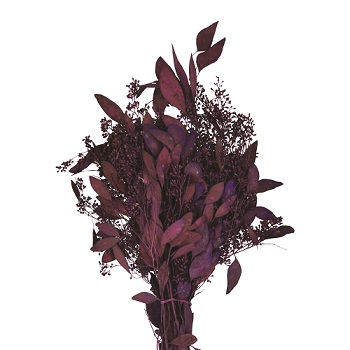 SEEDED EUCALYPTUS PURPLE 2LB BOUGH