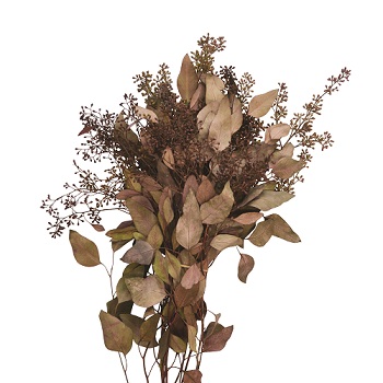 SEEDED EUCALYPTUS BURGUNDY 2LB BOUGH