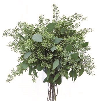 SEEDED EUCALYPTUS NATURAL 2LB BOUGH
