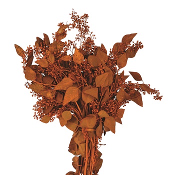 SEEDED EUCALYPTUS TERRA COTTA 2LB BOUGH