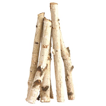 BIRCH POLE 3'