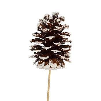 BULK WHITE TIPPED PINE CONE