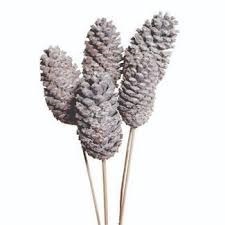 FROSTED POND PINE CONE-18"STAKE