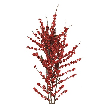 WINTERBERRY VINE SPRAY-48"LENGTH