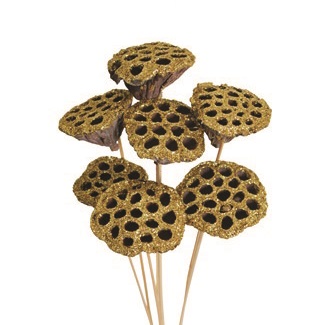 LOTUS PODS GOLD GLITTER 7 STEM