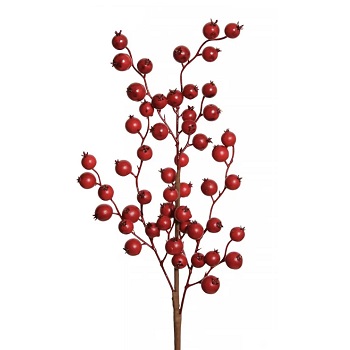 CRANBERRY SPRAY 25" CASE OF 144