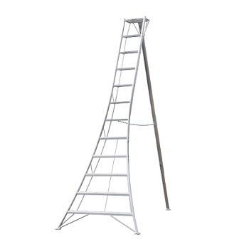 HASEGAWA LADDER 10' PLATFORM