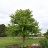 ACER FRE SIENNA GLEN 3.5" BB
