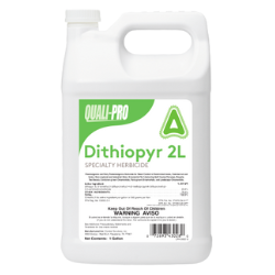 QP DITHIOPYR 2L