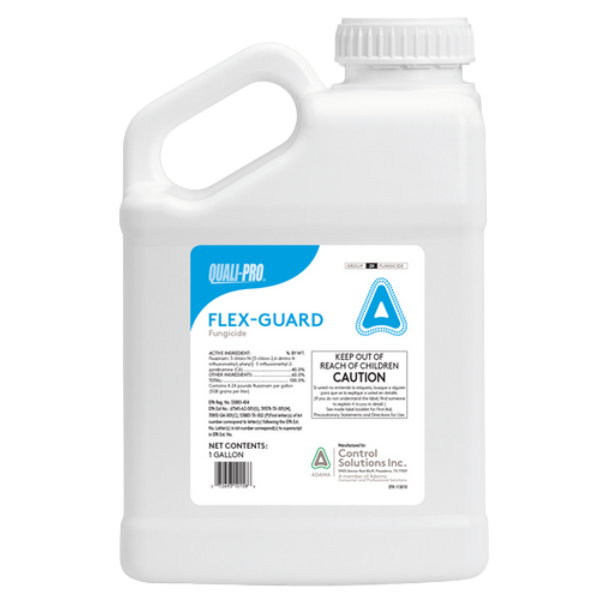 QP FLEXGUARD 1GAL