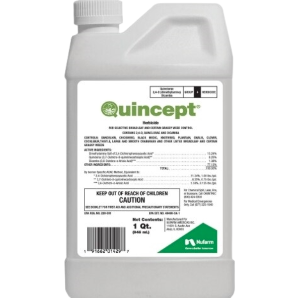 64OZ QUINCEPT