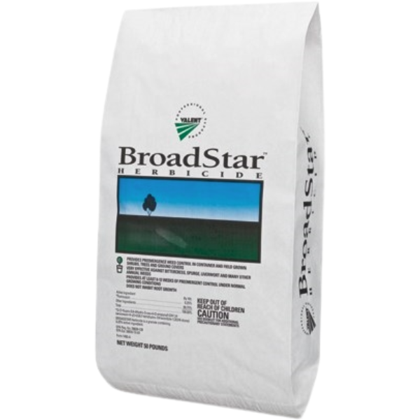 BROADSTAR 50#