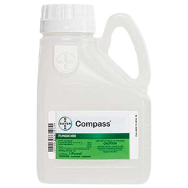 COMPASS WDG 1LB.