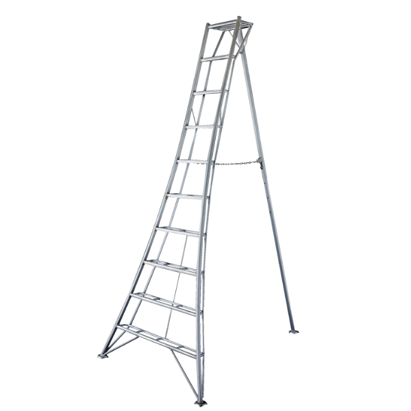 HASEGAWA LADDER 10 TRIPOD