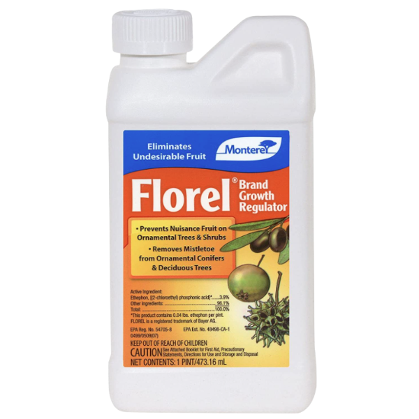 MT FLOREL GROWTH REG PT