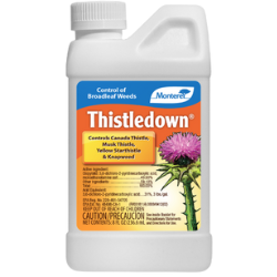 MT THISTLEDOWN 8OZ