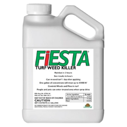 FIESTA 2.5GAL