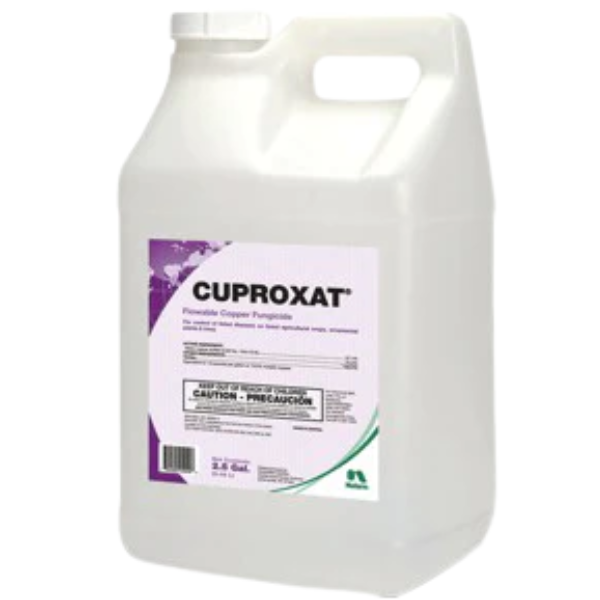 CUPROXAT 1GAL