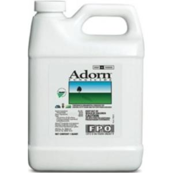 ADORN 1QT