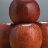 MALUS WINECRISP APPLE #5 DWF