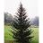 ABIES FRASER FIR 6' BB