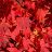 ACER X PSE FINAL FIRE #15 TF