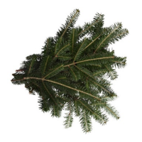 FRASIER FIR BOUGHS BULK PER LB