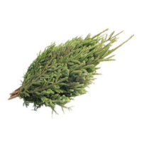 KING SIZE SPRUCE TIP BUNDLE 4-5'+ (5/BUNDLE)