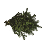 NOBLE FIR 2LB BOUGH