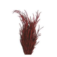 GREVILLEA IVANHOE RED 2LB BOUGH