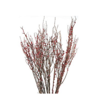 RED HUCKLEBERRY 2LB BOUGH