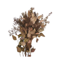 SEEDED EUCALYPTUS BURGUNDY 2LB BOUGH