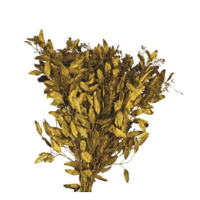 SEEDED EUCALYPTUS GOLD 2LB BOUGH