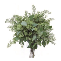 SEEDED EUCALYPTUS NATURAL 2LB BOUGH