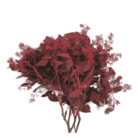SEEDED EUCALYPTUS RED 2LB BOUGH