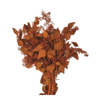SEEDED EUCALYPTUS TERRA COTTA 2LB BOUGH