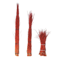 REDTWIG DOGWOOD BUNDLE 3' (10/BUNDLE)