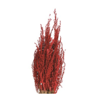 SILVER SAGE RED TINT 3' (10/BUNDLE)