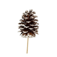 BULK WHITE TIPPED PINE CONE