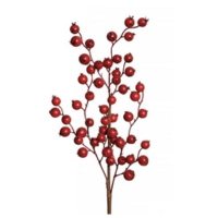 CRANBERRY SPRAY 25" CASE OF 144