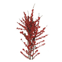 WINTERBERRY VINE SPRAY-48"LENGTH