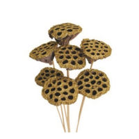 LOTUS PODS GOLD GLITTER 7 STEM