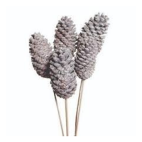 FROSTED POND PINE CONE-18"STAKE
