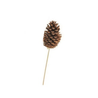 NATURAL POND PINE CONE-18" STAKE