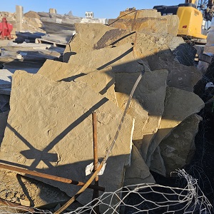 PETRIFIED SEASHORE FLAGSTONE