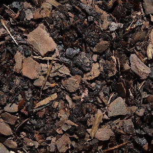 MINI PINE BARK MULCH