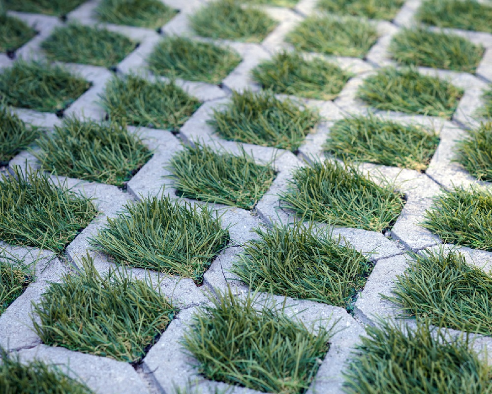 Grass Paver