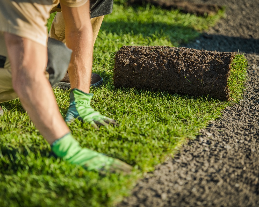 Sod & Staples